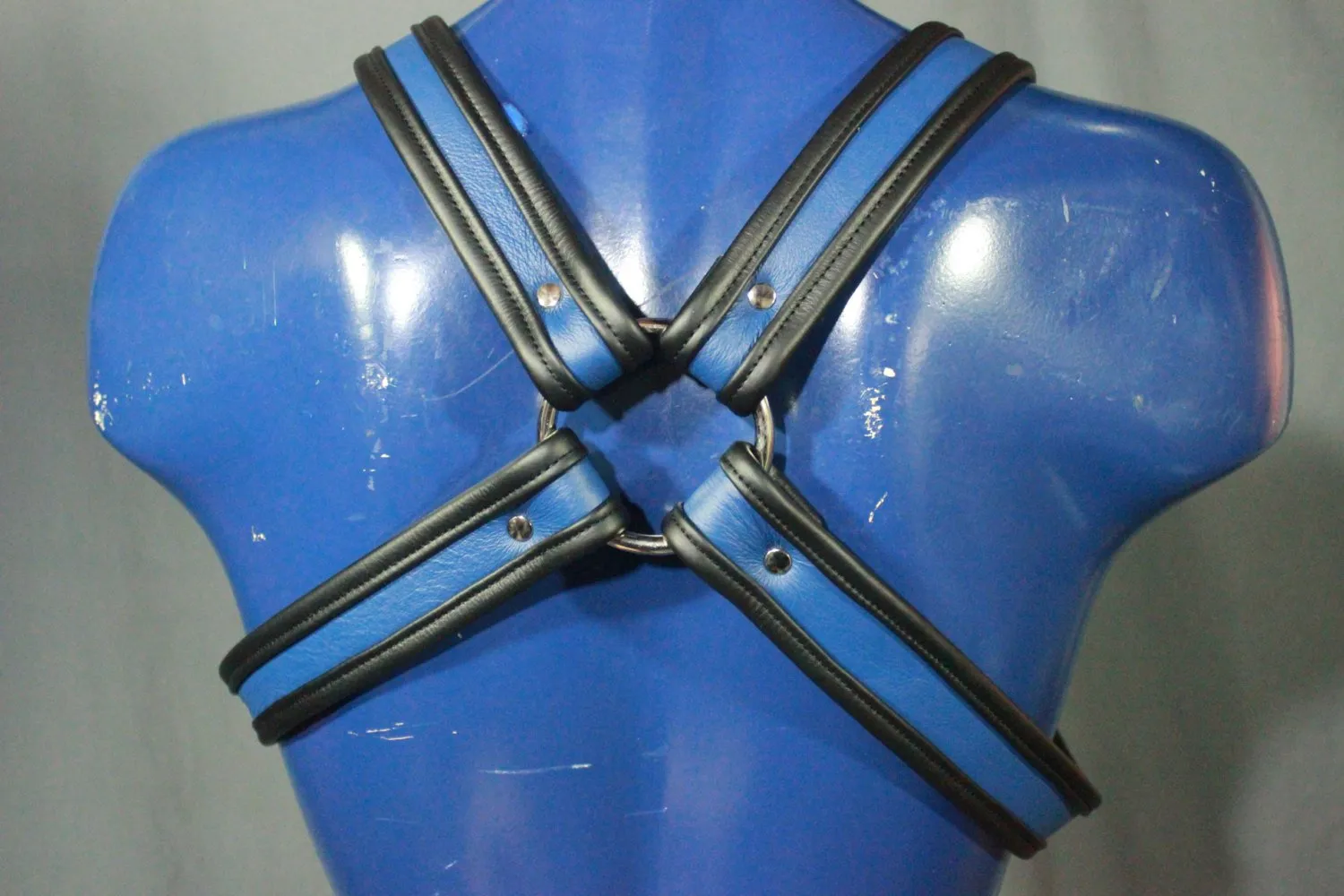 Blue and Black Bulldog Harness with removable backpiece. Two items in one!