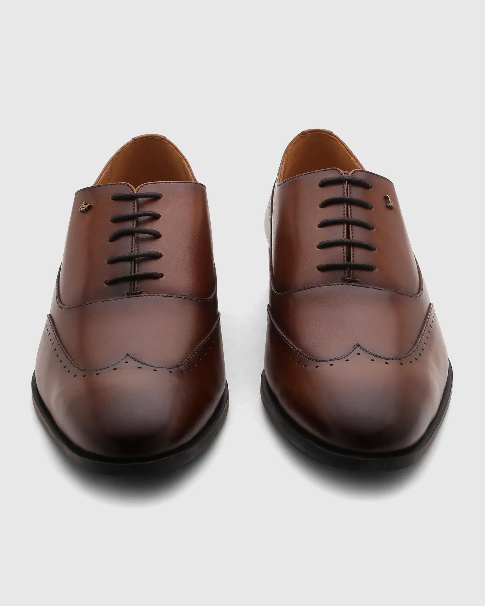 Leather Tan Solid Oxford Shoes - Qusso